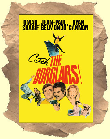 Burglars_dvd_cover
