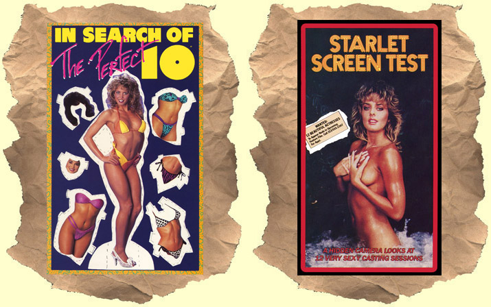 In_Search_of_the_Perfect_10_Starlet_dvd_cover
