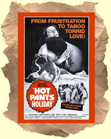 Hot_Pants_Holiday_dvd_cover